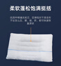 睡眠博士（AiSleep）决明子草本枕芯 单人成人枕头 花草枕 颈椎枕 枕芯单个装 74*48cm 实拍图