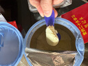 惠氏（Wyeth）启赋蓝钻HMO较大婴儿配方奶粉2段（6-12月）810g 实拍图
