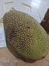 京鲜生 海南菠萝蜜整个 13-17斤 净重13斤生鲜水果 源头直发 实拍图