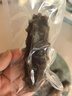 即食海参独立包装新鲜海鲜礼盒鲜食大连海参刺身冷冻辽参优质刺参 精美优质礼盒5斤（50-75头） 实拍图