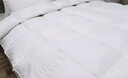 源生活 防钻绒 100%白鸭毛羽毛被子被芯 四季双人羽毛 200*230cm 灰色  实拍图