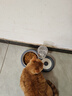 甜浪海猫碗双碗自动喂食器不锈钢狗盆幼猫吃饭喝水防打翻饮水机宠物食盆 实拍图