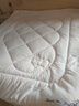 皇朝家私被子被芯A类10%羊绒蛋白四季被春秋抗菌冬天被褥 约6斤200*230cm 实拍图