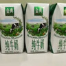 伊利【新鲜日期】金典纯牛奶整箱 250ml*16盒 3.6g乳蛋白 礼盒装 实拍图
