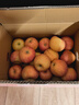 京鲜生 烟台红富士苹果 净重8斤  单果230g起 水果礼盒 实拍图