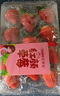 【产地直采】丹东红颜草莓300g 实拍图