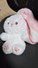 尚韵六一儿童情人节生日礼物女生草莓兔子玩偶娃娃毛绒玩具女孩公仔 实拍图