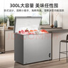 美菱（MeiLing）大眼电控300升单温家用冰柜减霜直冷定频一级能效-35°深冷速冻电脑控温BC/BD-300DTECX国家补贴 实拍图
