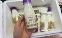 每日鲜语鲜牛奶A2β-酪蛋白低温牛奶巴氏杀菌乳A2β-185ml*6 低温鲜奶 实拍图