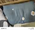 洁丽雅（Grace）纯棉枕套一对 加厚家用印花枕头套枕芯套 花漾-蓝48*74cm 实拍图