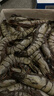 GUO LIAN国联 黑虎虾超大规格斑节虾无冰净重2斤 16-20只高虾青素虾类海鲜 实拍图