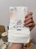 名典泰迪纸尿裤XL码50片【11.5-14kg】婴儿尿不湿超薄透气干爽尿裤 实拍图