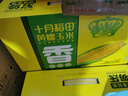 十月稻田 黄糯玉米 10根 4.4斤 东北粘玉米棒 低脂早餐 杂粮 粗粮礼盒 实拍图