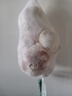 大蒜头出口品质网兜紫蒜蔬菜调料新鲜大果烧烤火锅食材 【精品网兜装】5头装 150g 实拍图