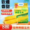 十月稻田 黄糯玉米 3.52斤(220g*8根) 25年新玉米 东北玉米 早餐 低脂粗粮 实拍图