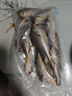 三都港冷冻东海海捕小黄鱼3斤 45-54条 生鲜鱼类 海鲜水产 深海鱼烧烤 实拍图