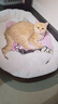 【京东快递】猫咪保暖加厚椭圆窝封闭式宠物窝小型犬狗窝猫咪窝 奶茶色 L60*75（20斤内） 实拍图