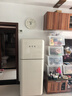HCK哈士奇小香风Pro系列237升双门复古冰箱一级能效变频风冷客厅低噪纤薄易嵌BCD-253RS-奶茶色 实拍图