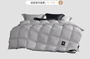 水星家纺羽绒被95%白鹅绒被子冬季加厚冬被芯双人羽绒被220cm×240cm1200g 实拍图