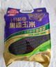 十月稻田 黑糯玉米 3.52斤(220g*8根) 东北甜黏玉米棒 早餐苞米 低脂零食 实拍图