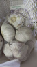 大蒜头出口品质网兜紫蒜蔬菜调料新鲜大果烧烤火锅食材 【精品网兜装】1斤装 450g 实拍图