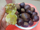 丹东新鲜板栗生栗子当季5斤现摘毛油栗子嫩板栗锥栗整箱生鲜蔬 2斤 【中果】净重1.8斤 实拍图