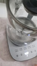 苏泊尔（SUPOR）养生壶 烧水壶 电水壶 煮茶器 热水壶 玻璃花茶壶 316L不锈钢恒温2L 保温煮茶壶SW-20YQ69 实拍图