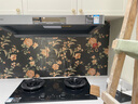 方太燃气灶02-TEK20嵌入天然气灶具猛火一级能效定时防干烧可联动可调节尺寸天然气/液化气可选 5.2火力天然气 【新品】定时防干烧灶 实拍图