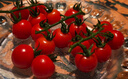 京鲜生山东串收樱桃小番茄净重450g*2盒 PET盒装短串 自然成熟 源头直发 实拍图