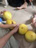 京鲜生 梅州白心蜜柚 单果1.7起 净重10斤 生鲜水果 源头直发包邮 实拍图