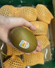佳沛（zespri）新西兰  阳光金奇异果6粒装 单果约77-103g  源头直发  猕猴桃 实拍图