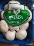 【绿色认证】鲜美白蘑菇230g 实拍图