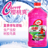 龟牌（Turtle Wax）樱桃爽去虫胶玻璃水 汽车去油膜鸟粪去污专用夏季雨刮水2L*6瓶 实拍图