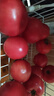 京鲜生 山东普罗旺斯番茄 净重4.5斤 单果125g+ 沙瓤西红柿 源头直发 实拍图