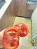番茄约500g 实拍图