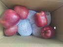 京鲜生 甘肃天水花牛苹果 又大又红 净重4斤 单果160g起  新鲜水果  实拍图