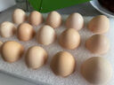 京鲜生 无抗保洁鲜鸡蛋30枚/盒 健康轻食 礼盒送礼 1.5kg/盒 源头直发 实拍图