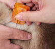 普安特宠物狗狗驱虫药犬非泼罗尼体内外一体犬虱跳蚤爱滴克+内驱 实拍图