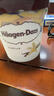 哈根达斯（Haagen-Dazs）经典香草口味冰淇淋 473ml大桶家庭装冰激凌 实拍图