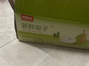 京鲜生 河北酥润香梨 净重4.5斤 单果120g+ 生鲜水果 源头直发 实拍图