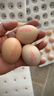 德青源A+级鲜鸡蛋64枚6.4斤起 无抗生素 健身食材 营养早餐礼盒装 实拍图