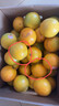 褚橙 云南冰糖橙  优级果 L 10斤装 单果约130g起 生鲜水果礼盒 实拍图