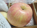 京鲜生 烟台红富士苹果 净重8斤  单果230g起 水果礼盒 实拍图