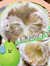 闽农语果浙江玉环文旦柚【纯甜无酸】老树柚子当季新鲜水果礼盒台州文旦柚 【精选5斤丨2枚装-85%人选】 实拍图