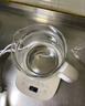 小熊（Bear）养生壶 煮茶壶 恒温水壶 保温烧水一体电热水壶花茶壶 316L不锈钢 1.5L大容量 YSH-J15H8 实拍图