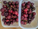 田拾记智利车厘子【JD-多地次日达】4j级车厘子5kg樱桃水果送礼品礼盒 3斤(净重) 【很划算】 巨无霸 JJJ 30-32mm丨超大超甜 实拍图