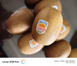 佳沛（zespri）新西兰  阳光金奇异果10粒礼盒巨大果单果约144-175g 水果 猕猴桃 实拍图