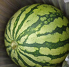 京鲜生 无籽麒麟大西瓜 1粒装 7-9斤 生鲜水果 实拍图