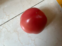 京鲜生 山东普罗旺斯番茄 净重4.5斤 单果125g+ 沙瓤西红柿 源头直发 实拍图