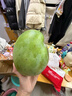 【现摘】云南澳芒新鲜苹果当季应季水果特大号特大凯特芒果彩虹 1粒 实拍图